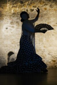 flamenco, sevilla, dan